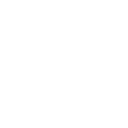 icon-execution